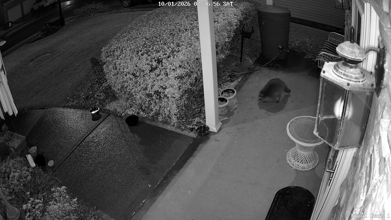 Porch Thieves 2 - another bandit encounter