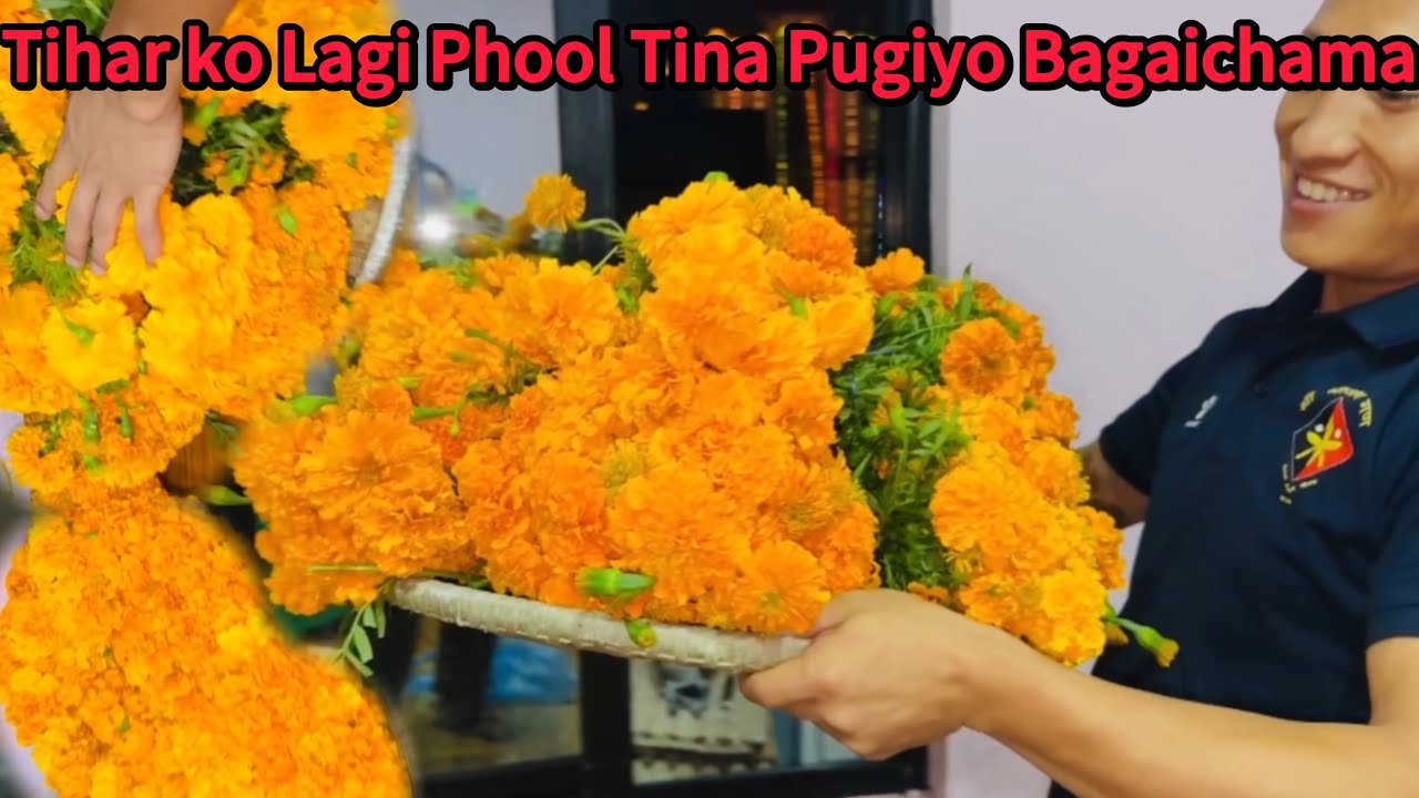 Tihar Ko Lagi Phool Lina Pugiyo Bagaichama ✨💫🙏 || Anita and Birhang 