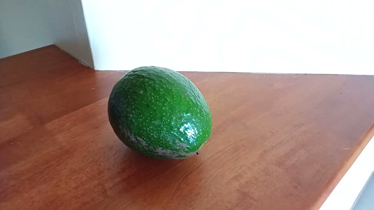 How to germinate avocado | Как прорастить авокадо