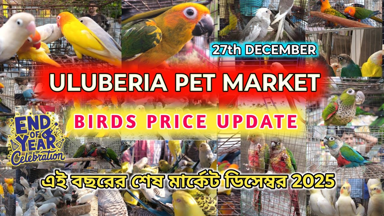 ULUBERIA PET MARKET BIRDS PRICE UPDATE ON 27th DECEMBER 2025 #uluberiapetmarket #cheapestprice #2025