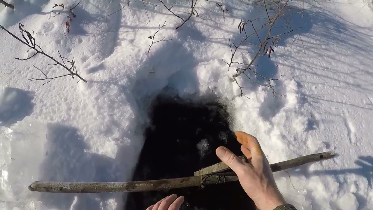 2022 Baited Beaver Trapping Under the Ice: ONIONS & ASPEN