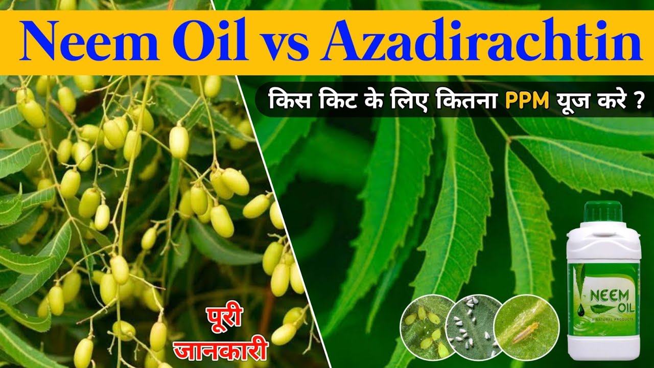 Neem oil Use for plants | Azadirachtin 10000 ppm dose | किस किट के लिए कितना PPM यूज करे