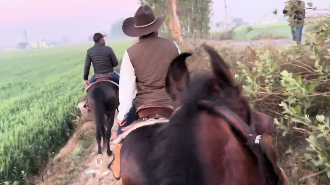 93 kms horse ride by long riders group with marwari horses सबसे लम्बी घुड सवारी मारवाड़ी घोड़े ले साथ