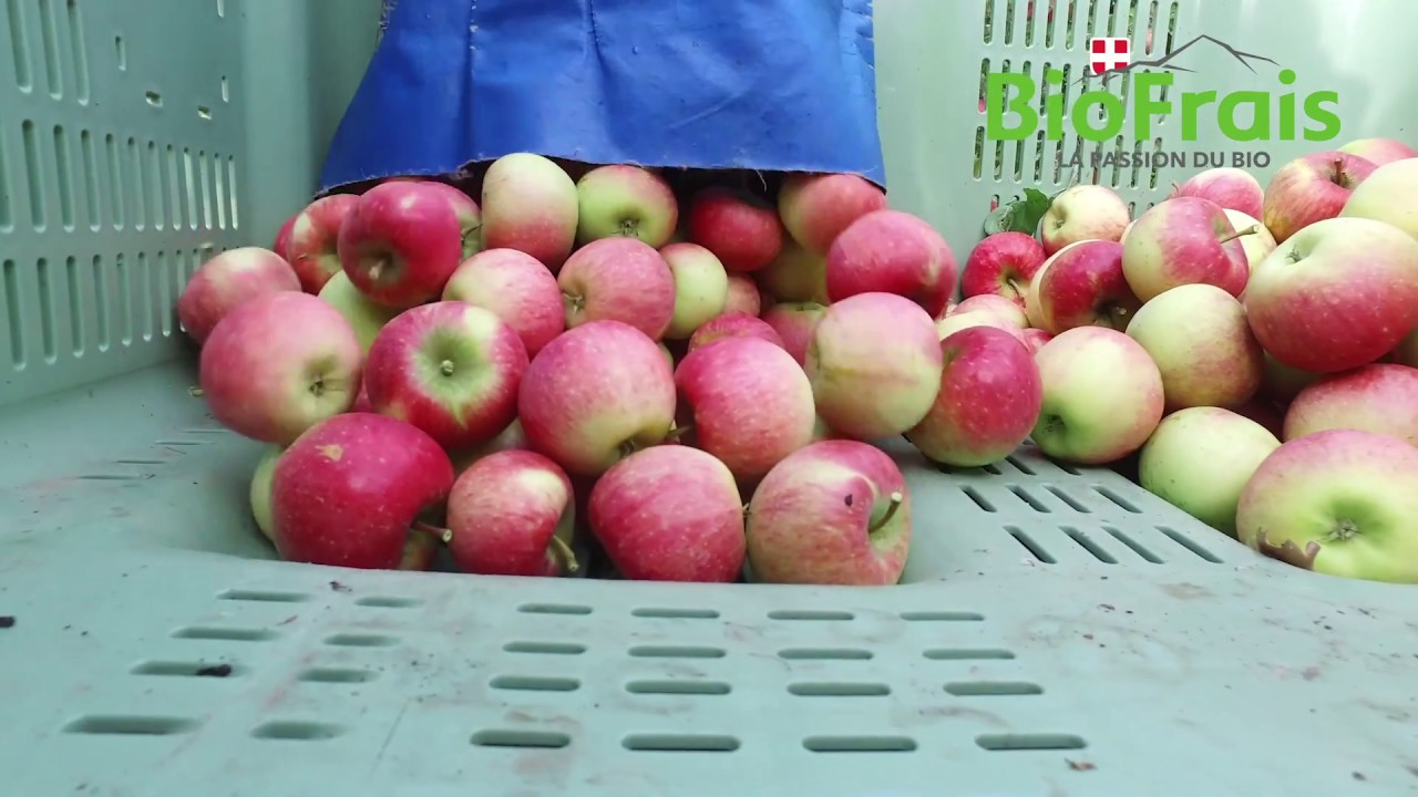 La Ferme des 4 saisons à Reignier - Partie 2 | BioFrais, Partenaire de l'Agriculture Locale