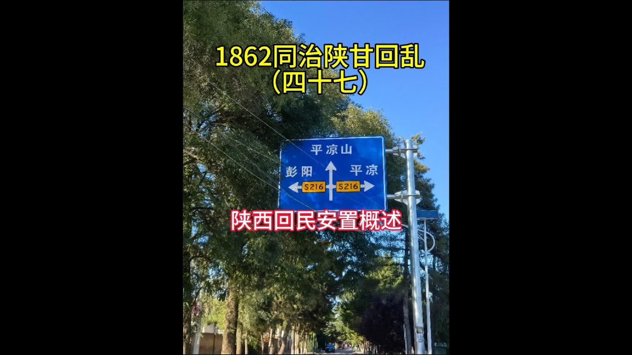 1862同治陕甘回乱，陕西回民安置调查 同治陕甘回乱后，退居甘肃庆阳董志原。在左宗棠带军剿抚下，回民军损失惨重。1869年2月，回军首领陈霖、阎兴春等保护回军家眷撤到金积堡，与马化龙联合抗击清军。白