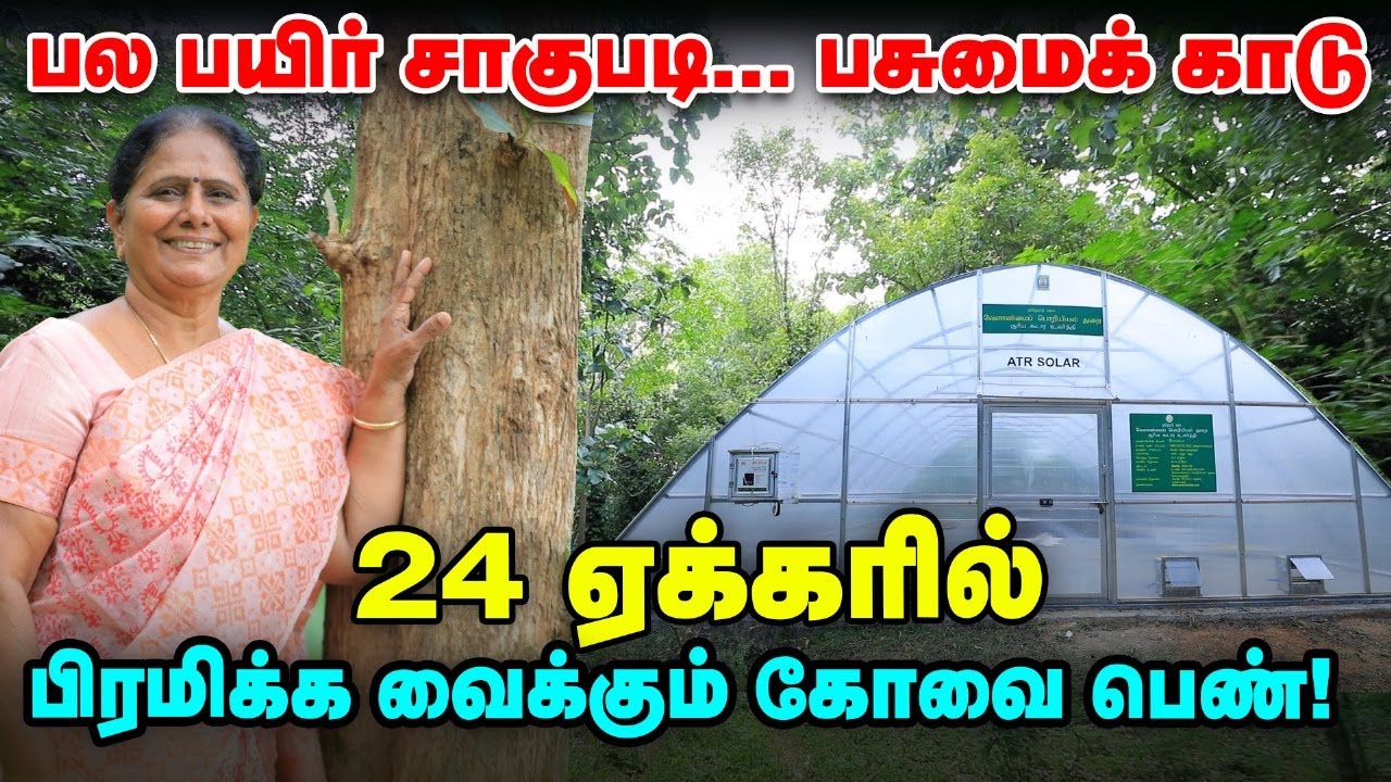 Seetha vanam, Marudha vanam: 24 ஏக்கரில் பசுமைக் காடு அசத்தும் கோவை பெண் | Pasumai Vikatan