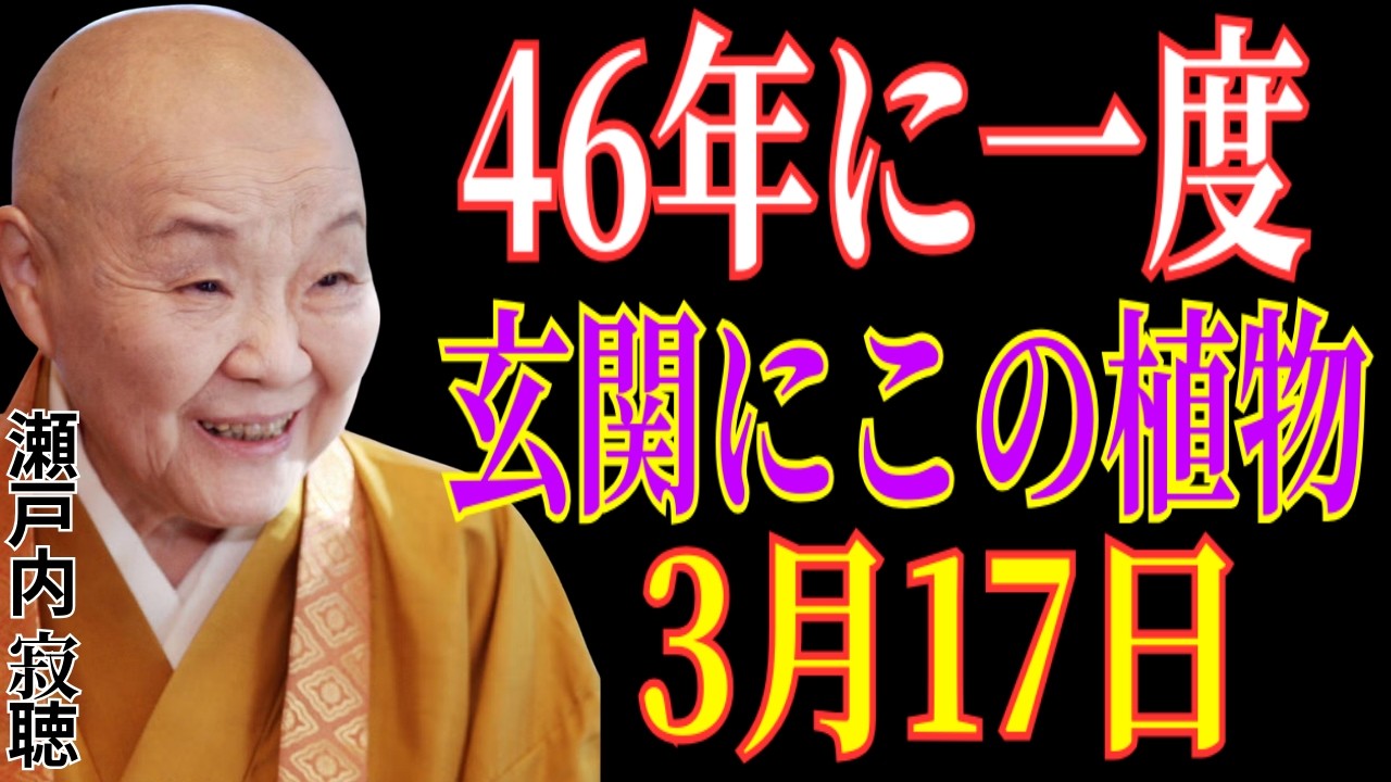 【瀬戸内寂聴】約46年に一度の幸運の日。3月17日、玄関にこの植物を置くだけで金運の流れが静かに変わります。家族に幸運を呼ぶ5つの植物をご紹介。