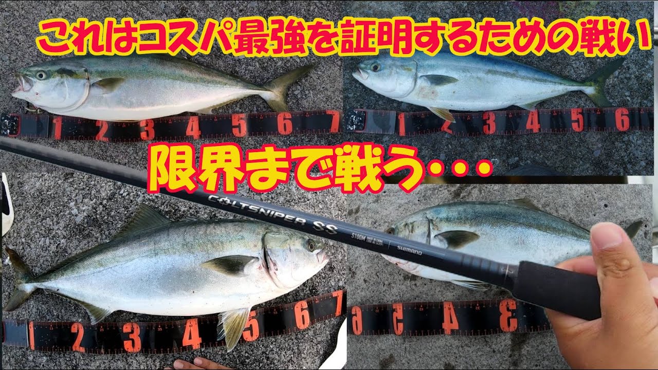 24コルトスナイパーSS コスパ最強証明のため青物バトルしまくり 【インプレ】