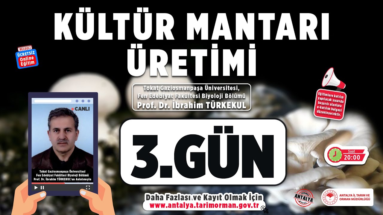 Kültür Mantarı Yetiştiriciliği İstiridye Mantarı Yetiştiriciliği Kültür Mantarı Üretimi 3.Gün