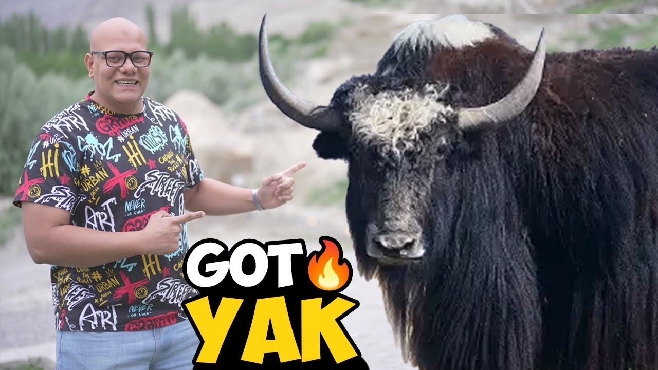 Yak Lene Skardu Pahunch Gaye 🐃 | Eid Preparation | BT Farm Stories