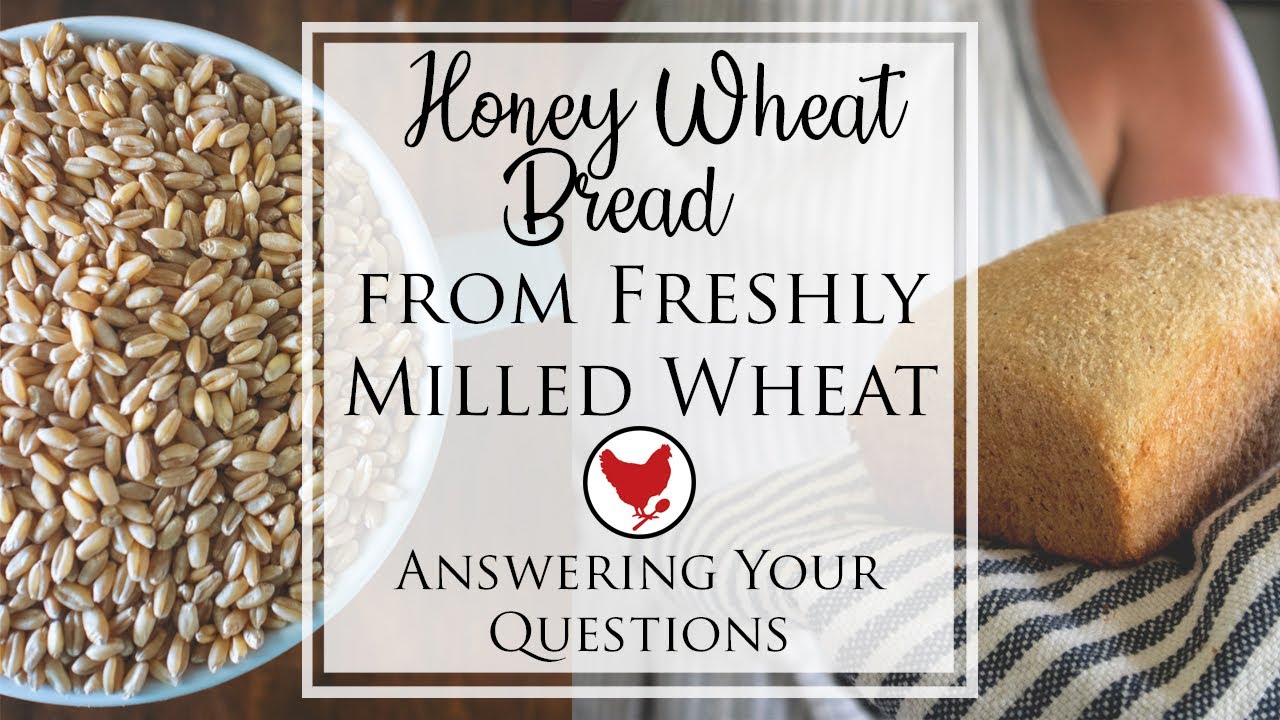 How to Make Bread from Freshly Ground Wheat - Answering Your Questions | Homestead Kitchen