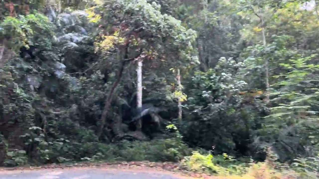 Ponnmudi and Kallar