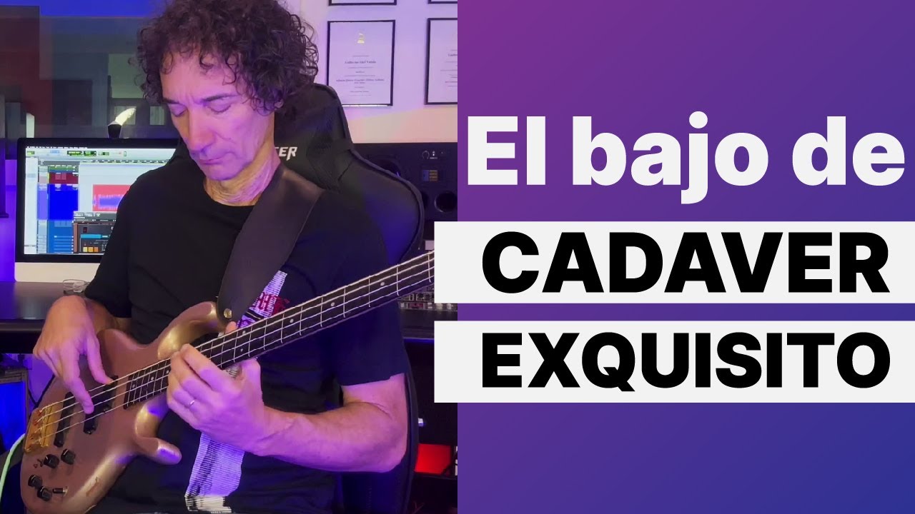 🎸 COMO TOCAR 