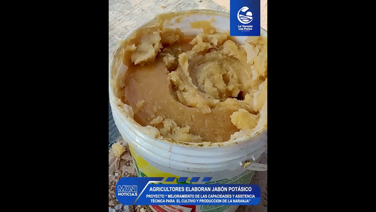 Elaboración de Jabón Potásico
