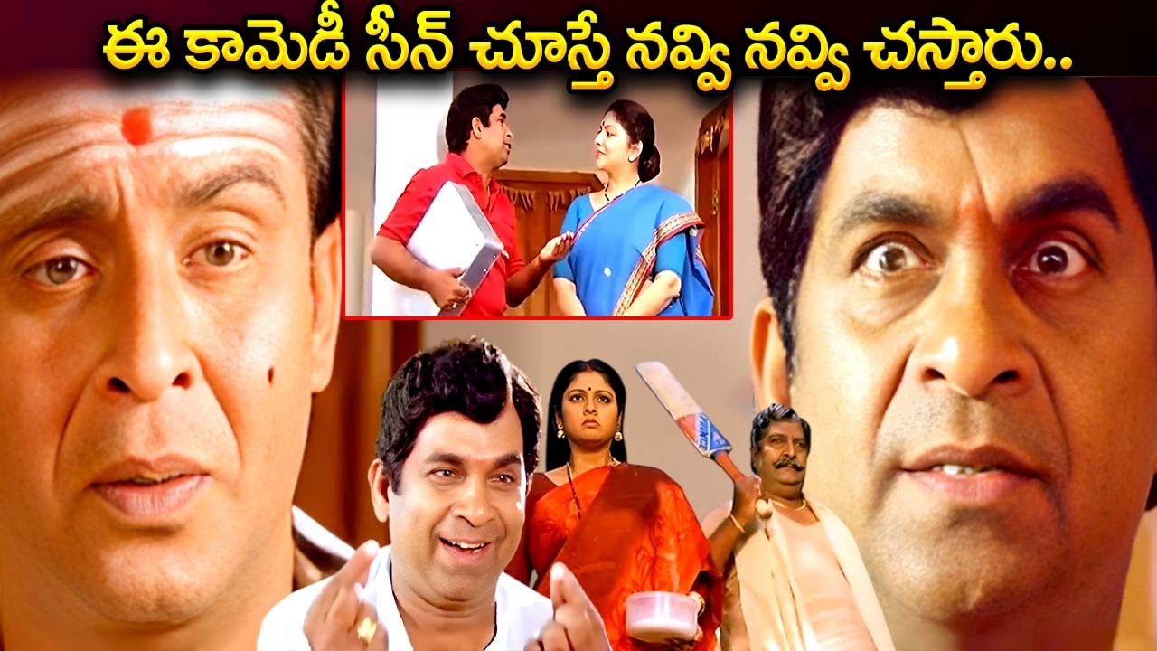 Brahmanandam All Time Best Comedy Scene | Telugu Best Comedy Movie | Pellala Rajyam Movie | iDream