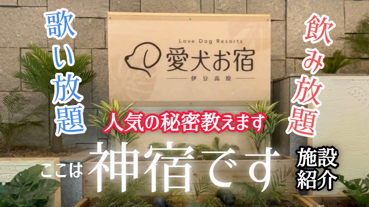 最高にハッピーになれる「愛犬お宿」に行って来た
