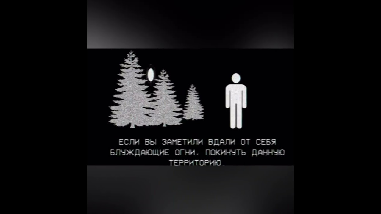 Все видео сфба