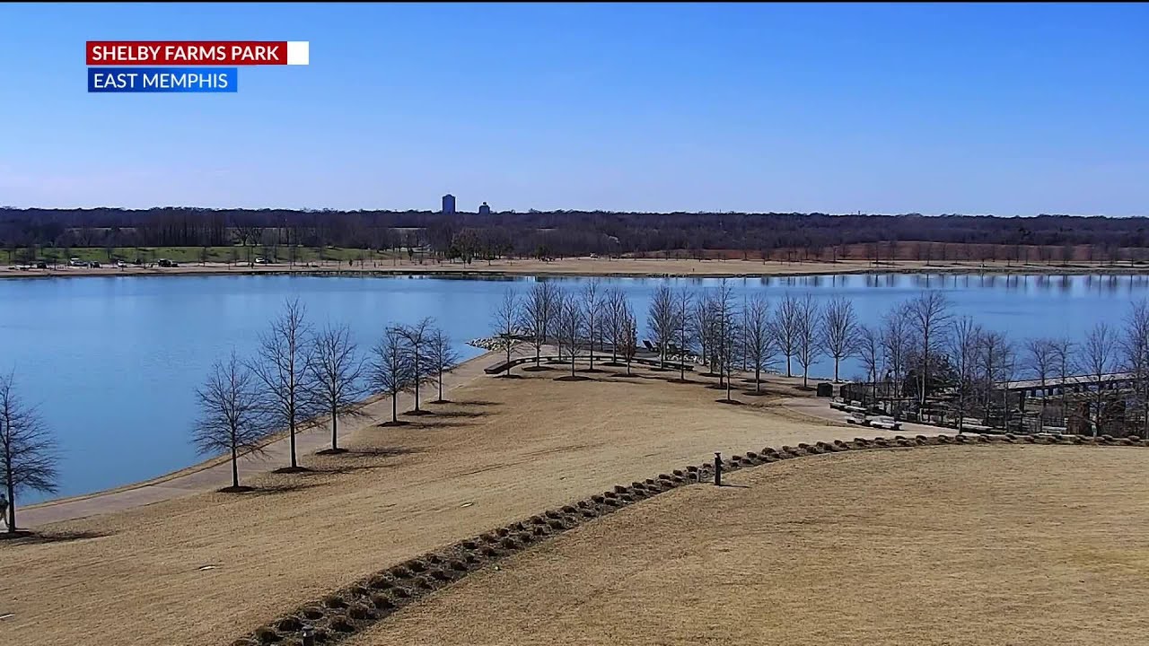 WREG Memphis Weather Friday afternoon Feb 20th