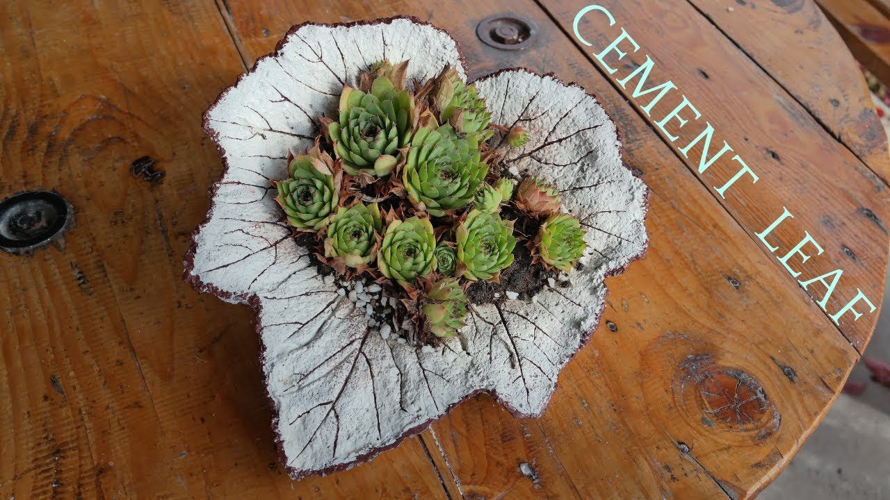 Cement Leaf Planter - Easy make Cement Leaf Pot - Concrete Leaf