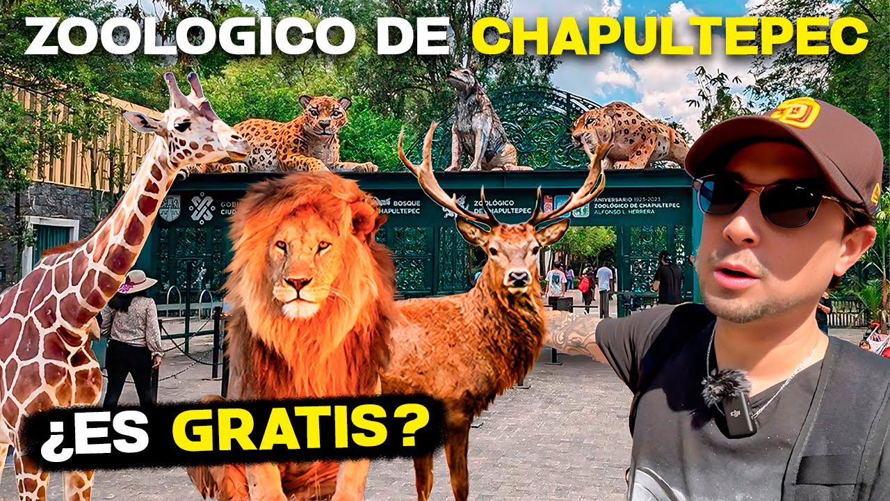 As&iacute; es el ZOOL&Oacute;GICO de CHAPULTEPEC 🦁🦒🇲🇽 Gu&iacute;a COMPLETA ✅ MEXICO