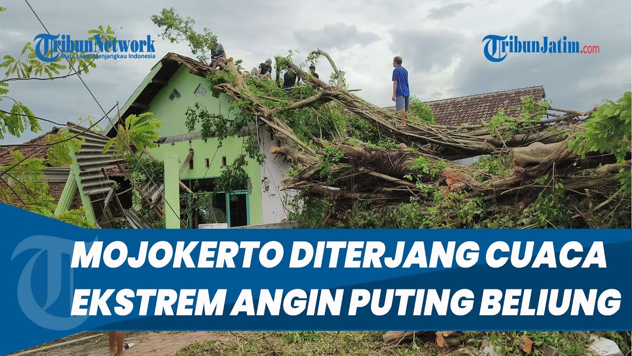 Cuaca Ekstrem Angin Puting Beliung Terjang Mojokerto, Rusak Puluhan Rumah Warga dan Pohon Tumbang