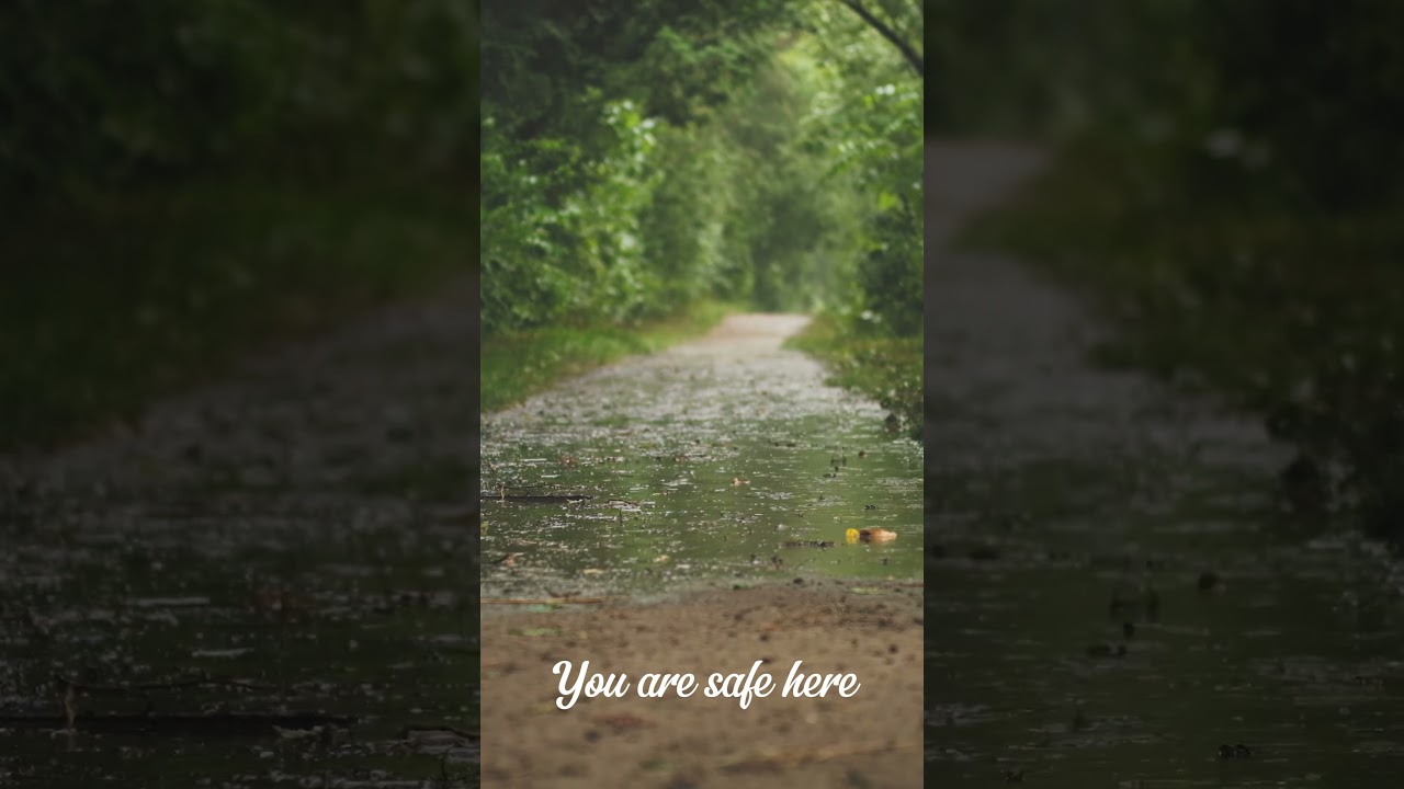 60s of Forest Calm 🌲 | Rain & Thunder for Deep Sleep 