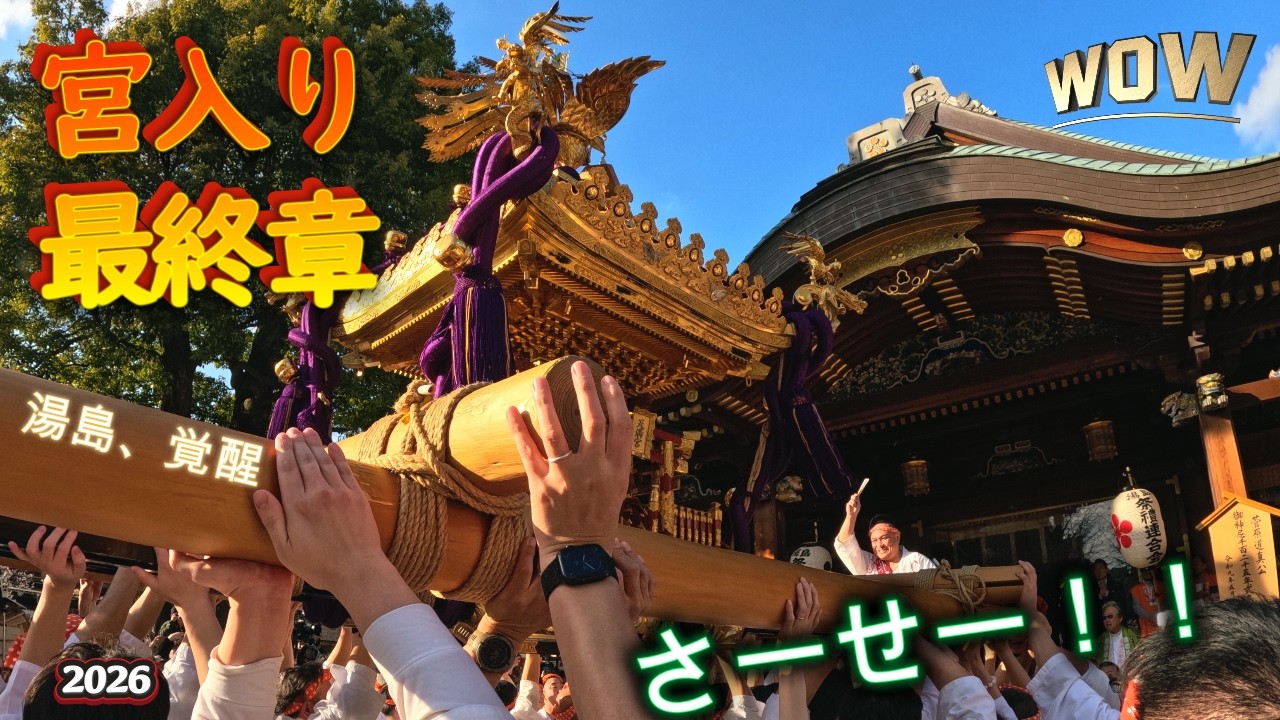 令和８年　湯島天神 梅まつり  神輿宮入りグランドフィナーレ  ｜天神の前で、すべてを出し切る・湯島が燃えた日　video# 5 。
