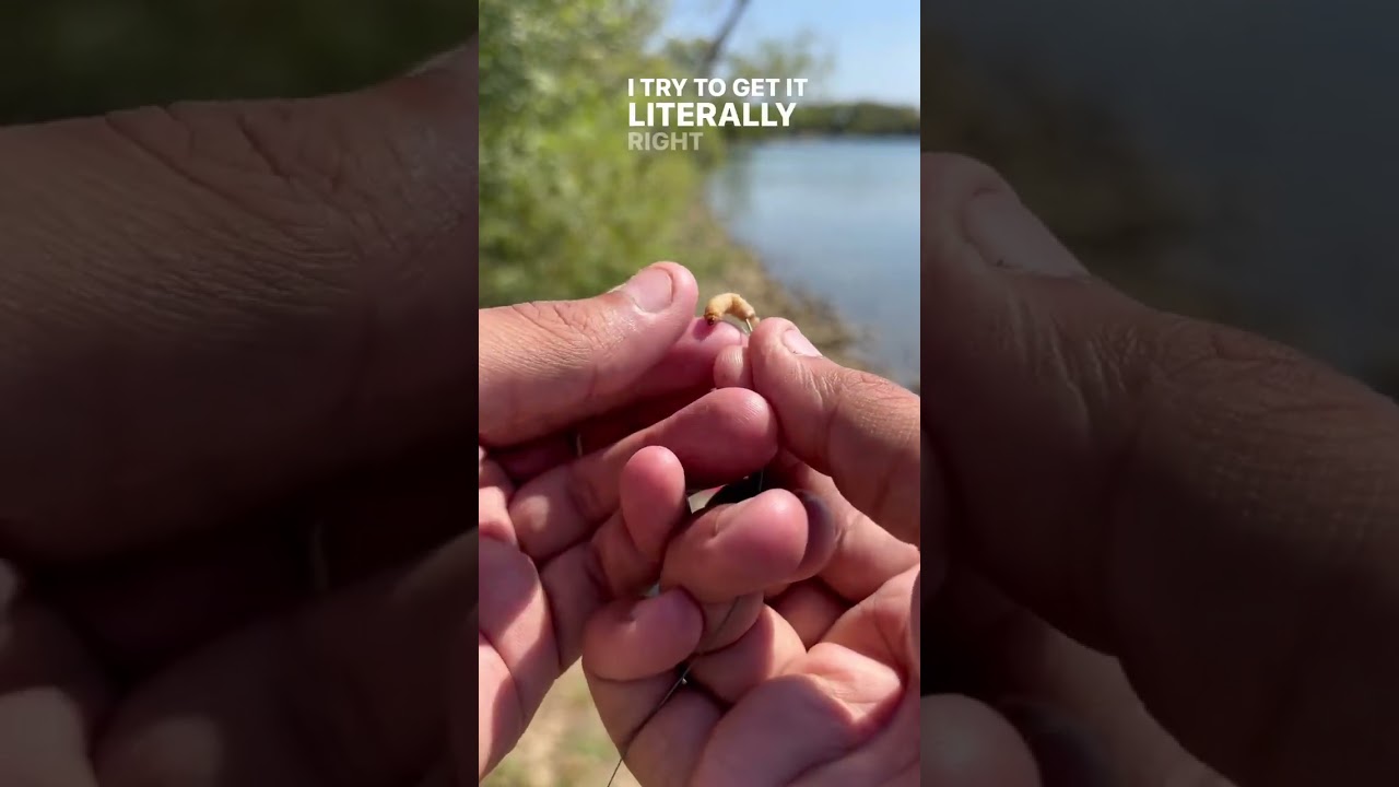 How Do You Bait a Wax Worm? TRY THIS!!#trending #bigcatfish #fishspecies #trendingshorts