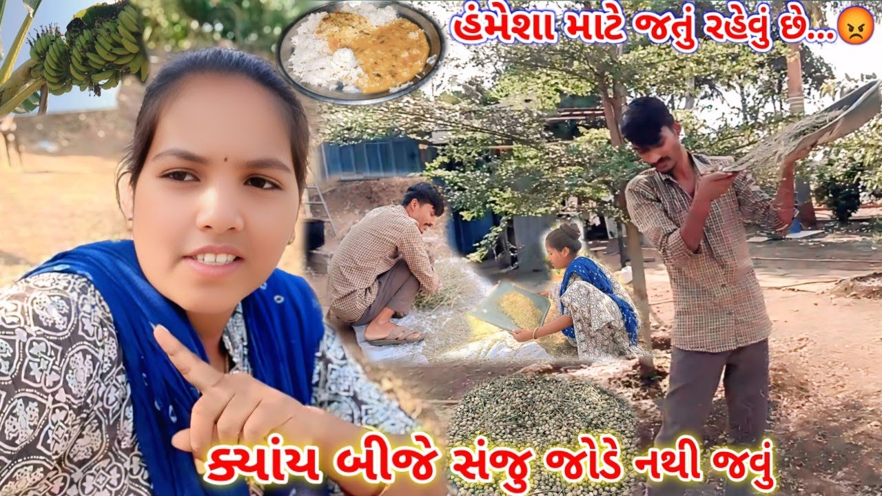હંમેશા માટે જતું રેવું છે ઘરે / Hamesh mate jatu rehevu che ghare # Village tour 