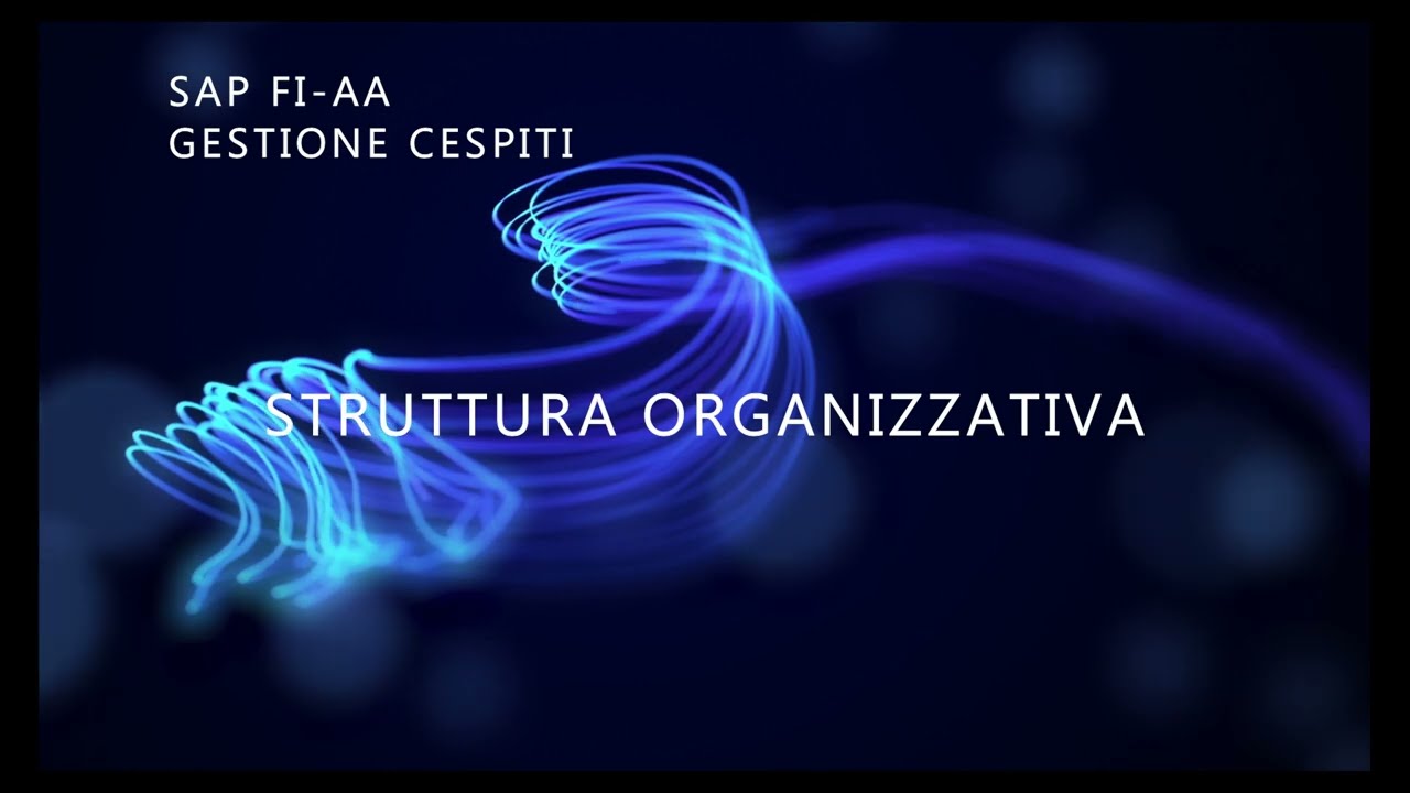 Corso SAP FI Gestione dei Cespiti: struttura organizzativa e piano di ammortamento