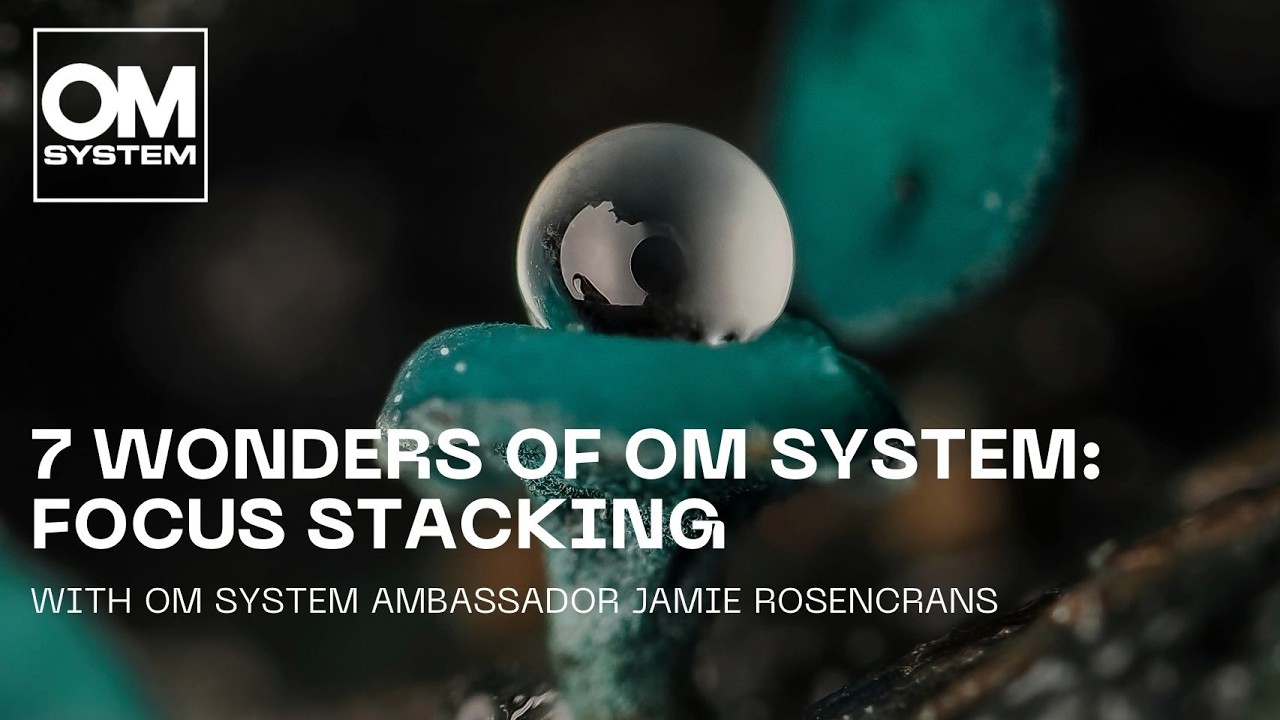 The 7 wonders of OM SYSTEM: Focus Stacking