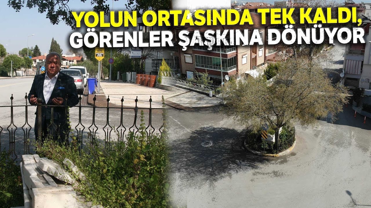 Hakkında Farklı Efsaneler Olan Yol Ortasındaki Tek Mezar