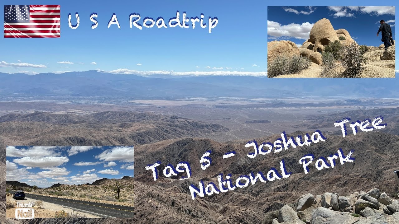 USA Südwest Roadtrip 2025 | Vlog 5 | Joshua Tree NP | Rolling Down The Highway 🇺🇸