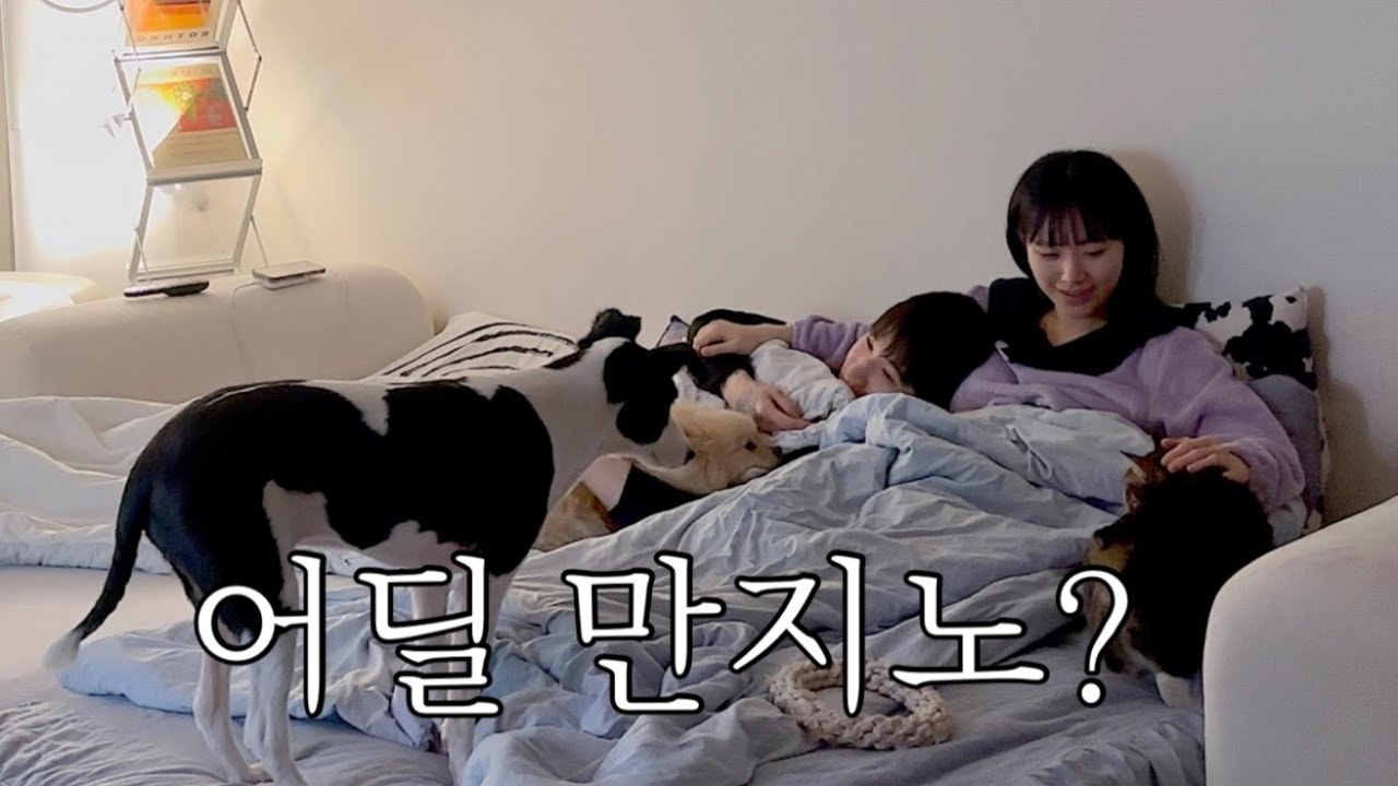 동거커플vlog (간만에 침대 붙이고 같이 자기🛌)