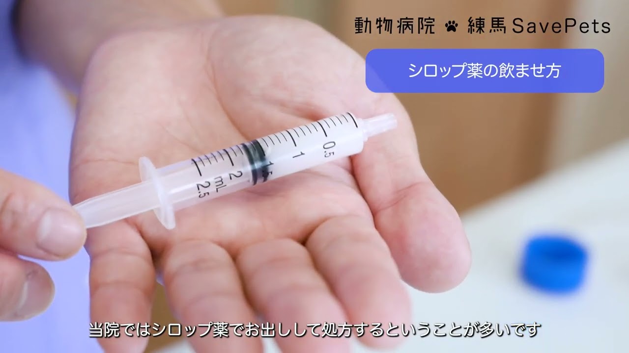 犬のお薬の飲ませ方【動物病院 練馬SavePets（セイブペッツ）】