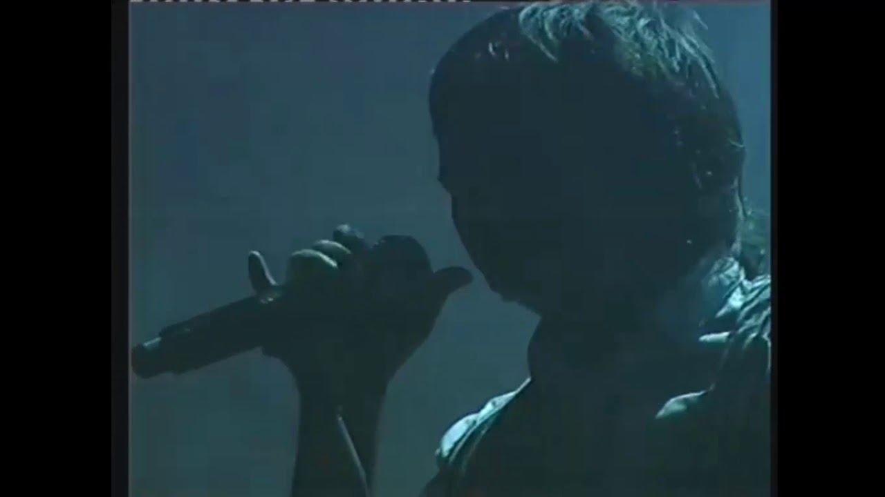 Babasonicos - El idolo (Cosquin Rock 2010)