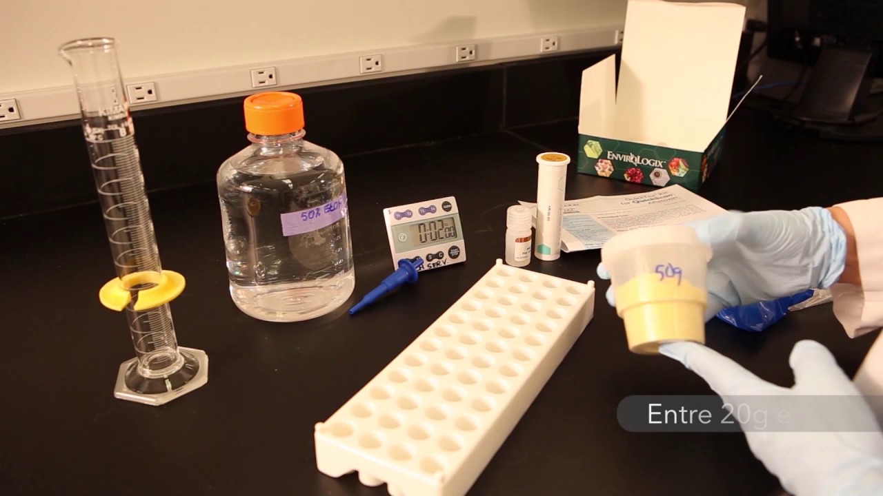 TREINAMENTO | MICOTOXINAS | Aflatoxina Quantitativo
