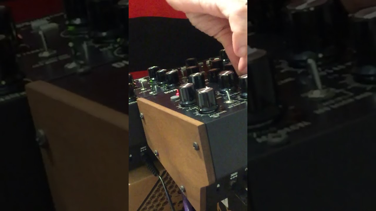 MOOG SEMI MODULAR #semimodular #moog #abletonlive #livestreaming #synth #dfam #mother32 #musicaexp