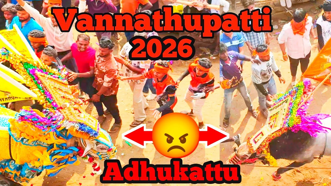 🔥Vannathupatti Adhukattu 4k HD videos 2026 #bull #festival #vairal #shortvideo 