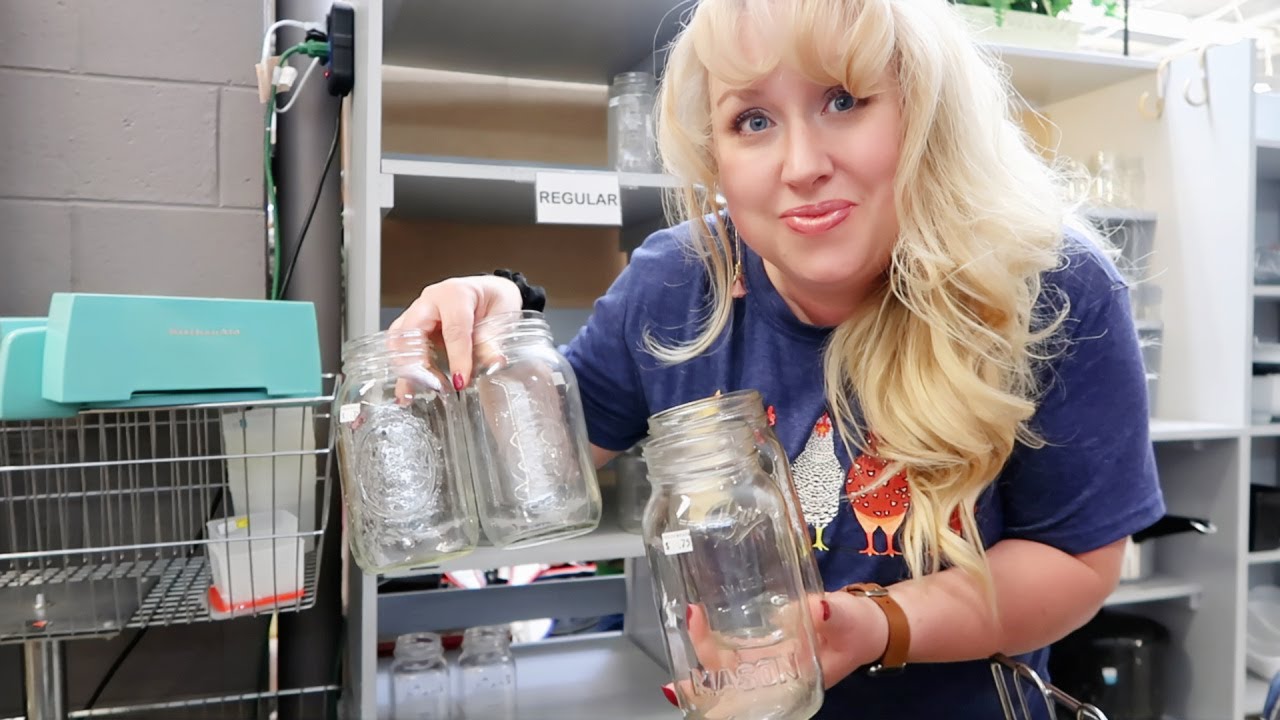 Massive Shop with Me at Thrift Stores, Dollar Tree 2023!