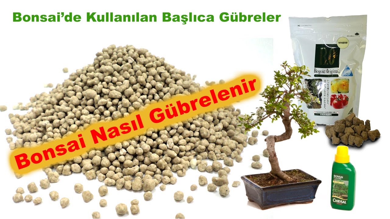 Bonsai'ler de gübreleme Nasıl yapılır?Hangi Gübre Kullanılır.Nasıl Verilir.