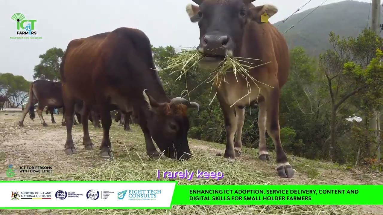 Transforming Agriculture Through Technology-ICT4Farmers Success