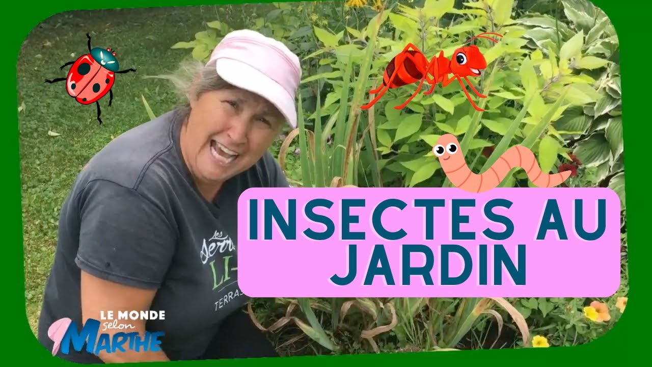 Trucs contre les insectes au jardin partie 1 - Compilation horticole