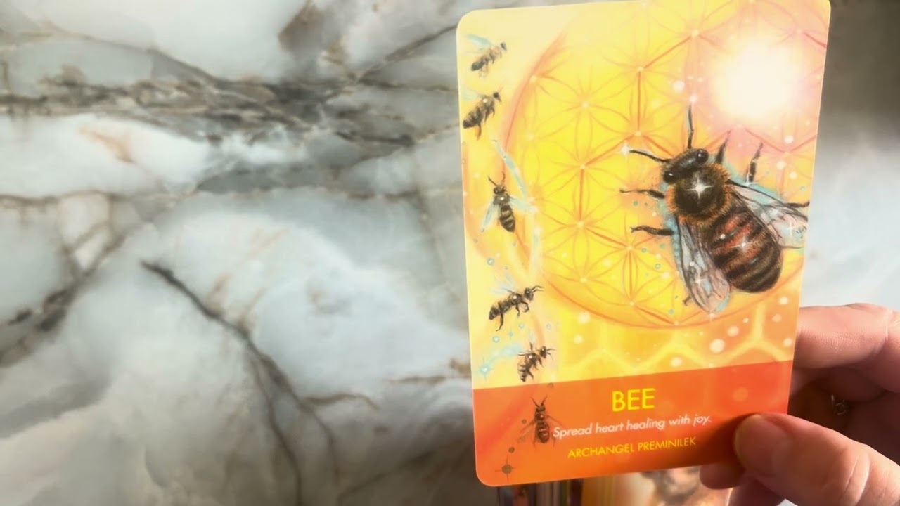 Oracle decks |10 animal decks ❤️