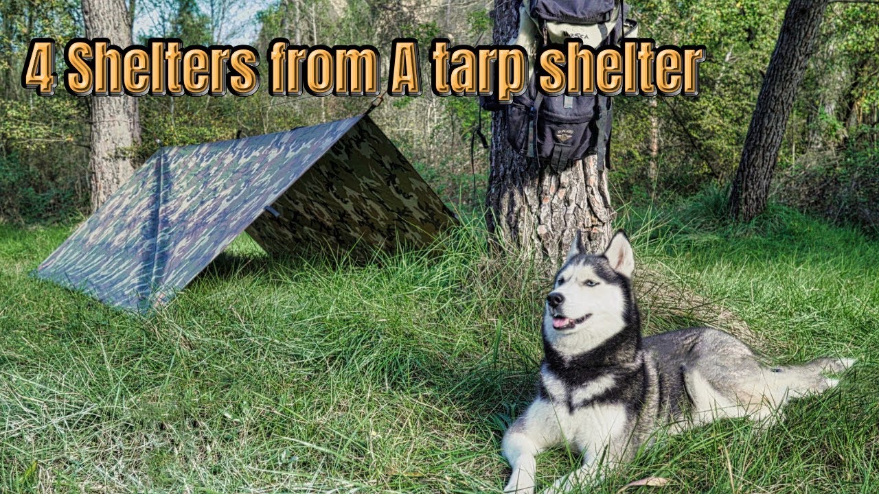 The Ultimate A Frame Tarp Setup!