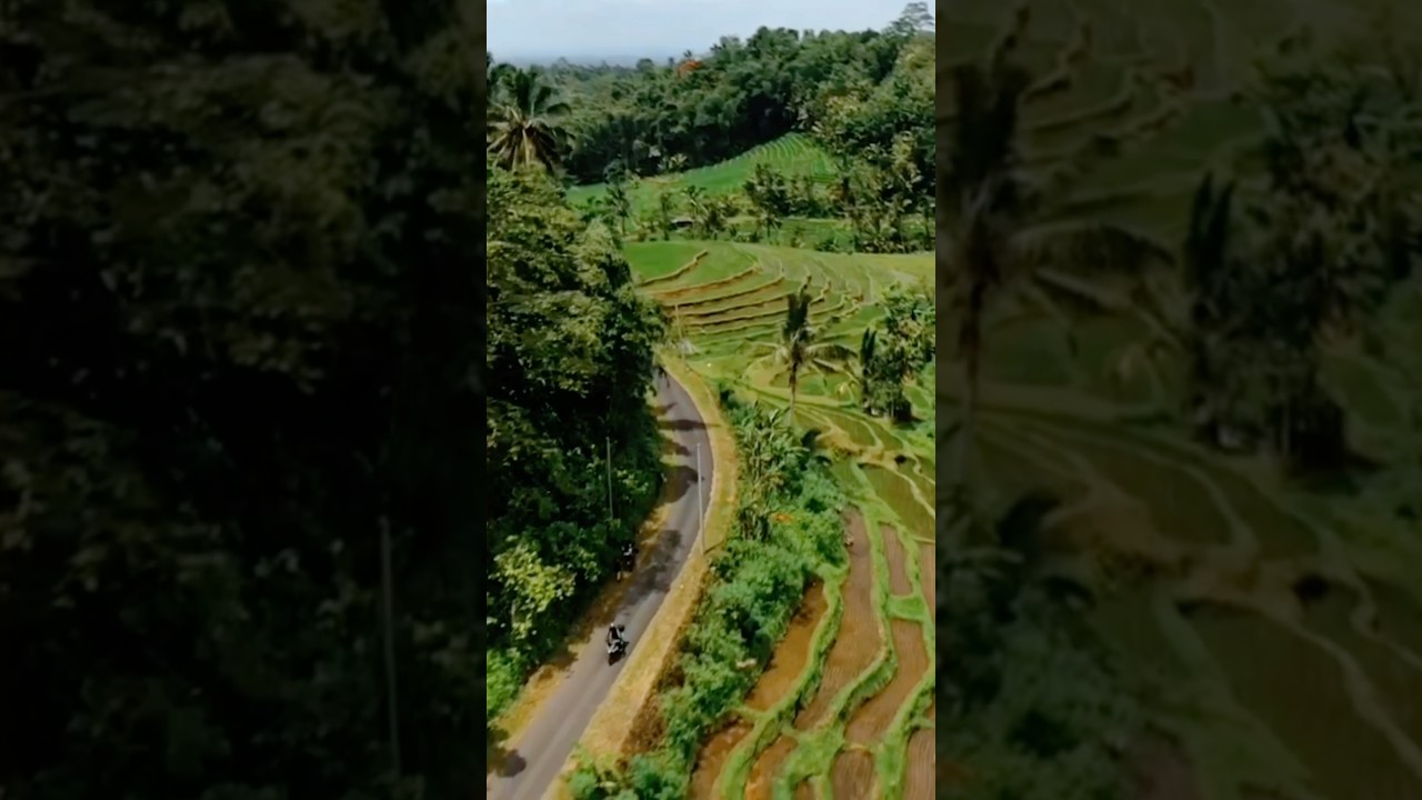 📍Bali
