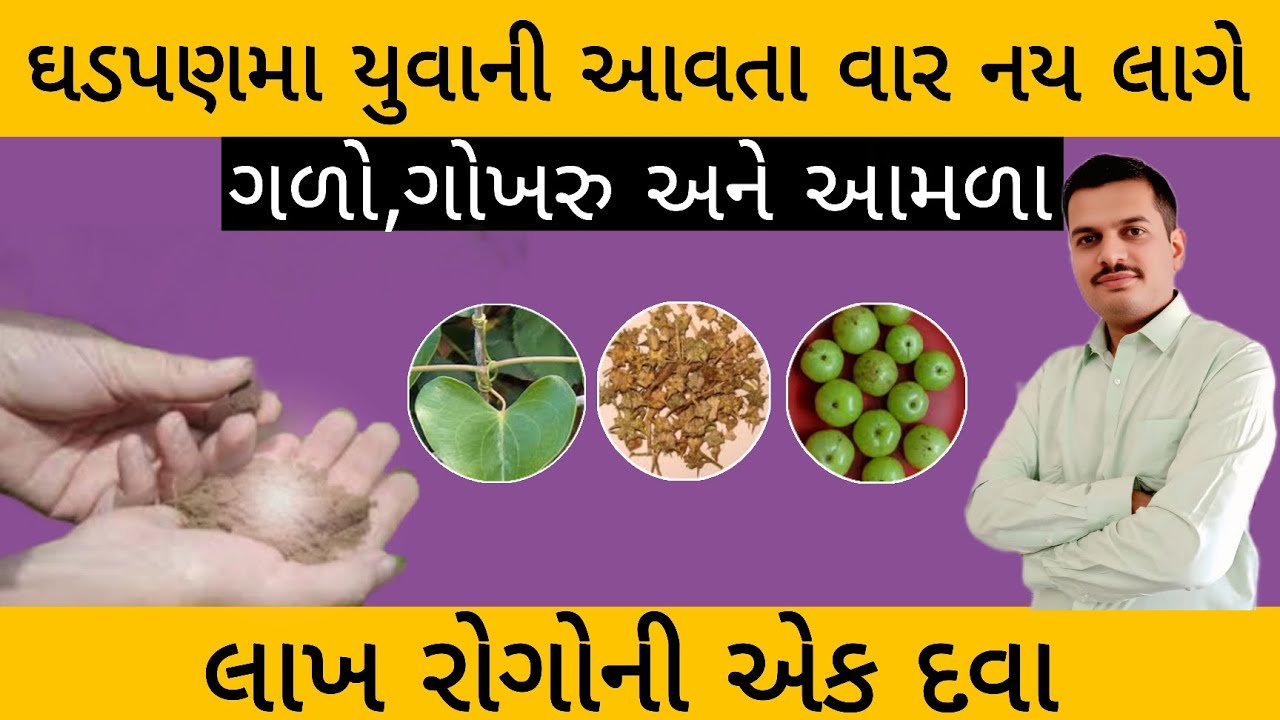 ખાટલામા પડેલો માણસ પણ ઘોડા ની જેમ દોડવા લાગશે | importance of rasayan churna 