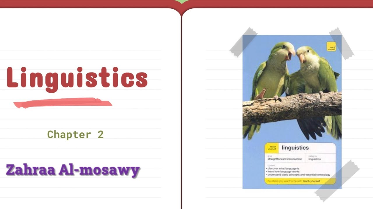 شرح مادة اللغة linguistics فصل الثاني what is language