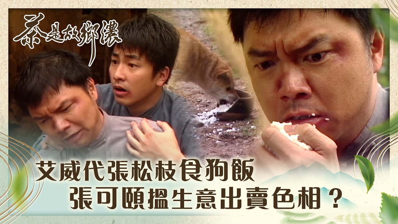 茶是故鄉濃｜艾威代張松枝食狗飯 張可頤搵生意要出賣色相？(繁／簡字幕)｜第二十四集精華｜林家棟｜艾威｜張松枝｜TVB港劇精華