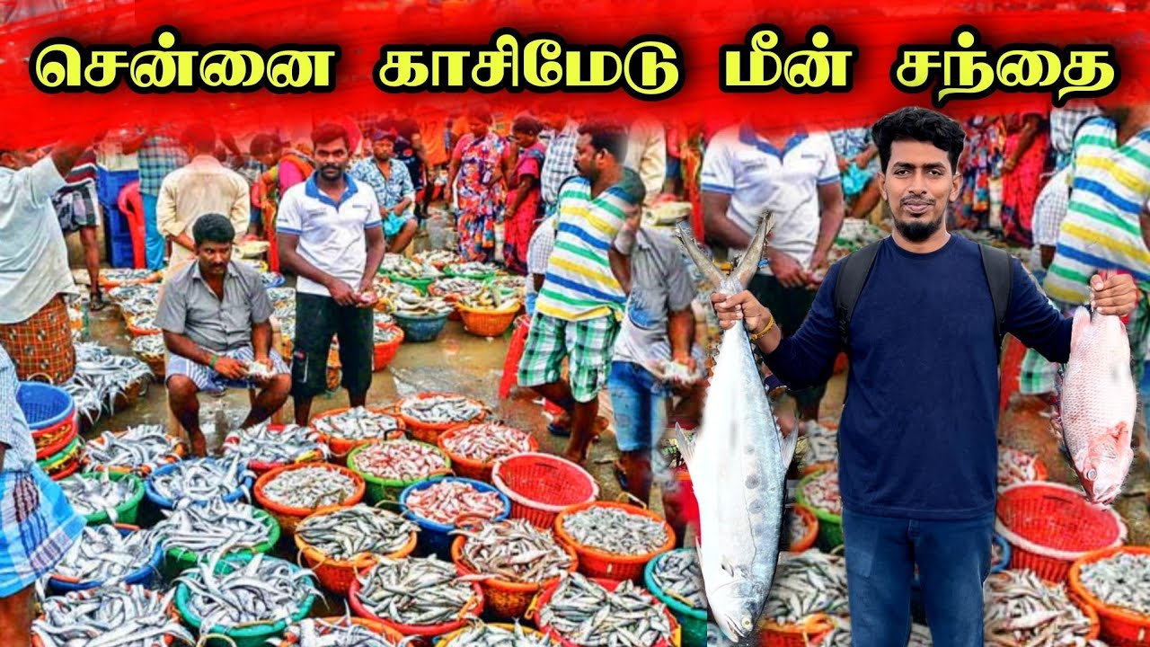 தமிழ்நாட்டிலேயே இருந்து விடு தம்பி !! 😥 🐟 | காசிமேடு மீன் சந்தை | Biggest fish market in Chennai 😊🐟